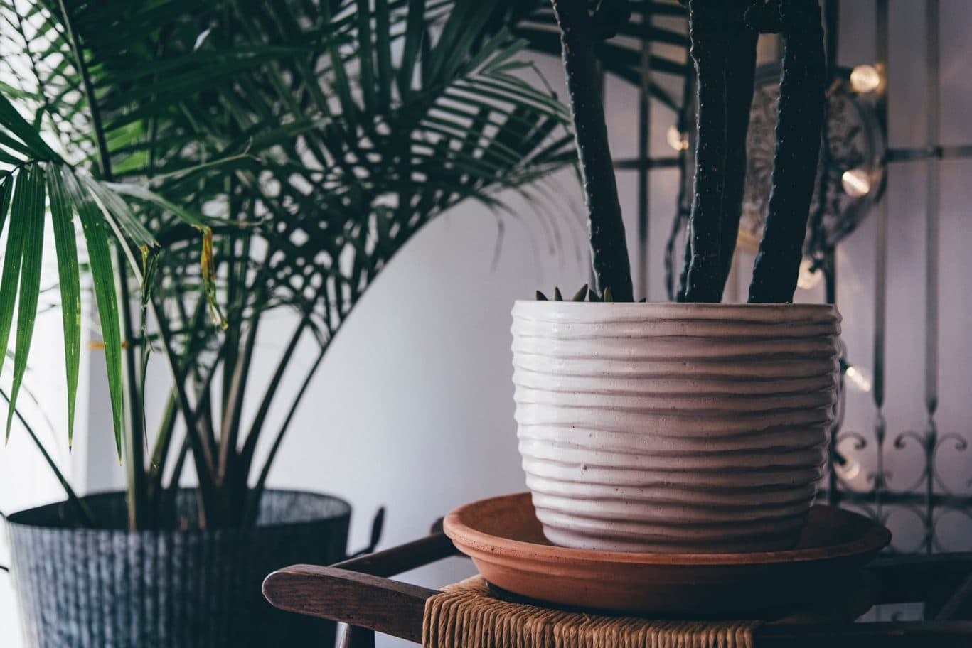 jordan-whitt-8hT4d5vX3no-unsplash