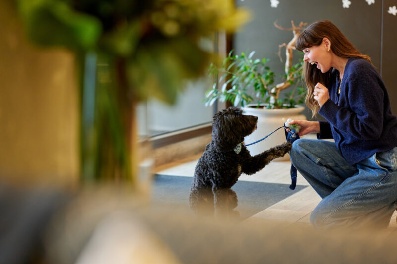 Woman with her dog at The Bedford